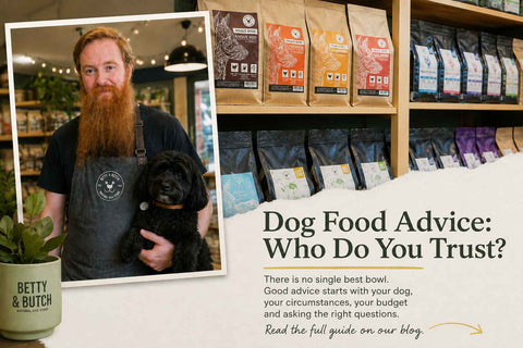 Betty & Butch dog food advice with Jon, a dog and shelves of dry dog food in the Chorlton natural dog store
