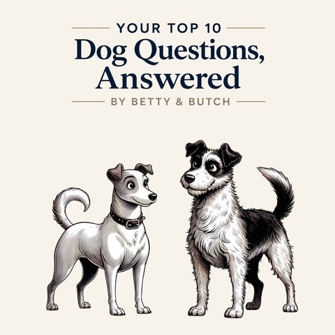 Your Top 10 Dog Questions, Answered by Betty & Butch