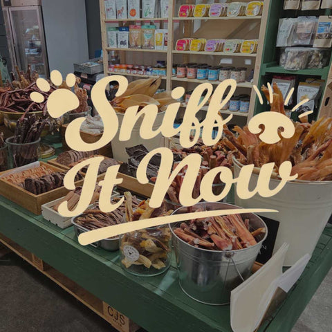 image of Betty & Butch Chorlton Dog Store interior with logo of Sniff It Now Collection