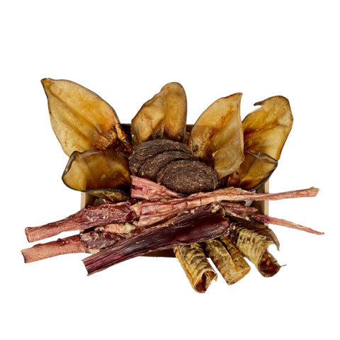Assorted Dog treats including long lasting chews, burgers, and dried items on a white background