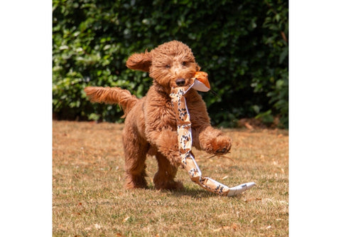 Tough Super Snake Dog Toy