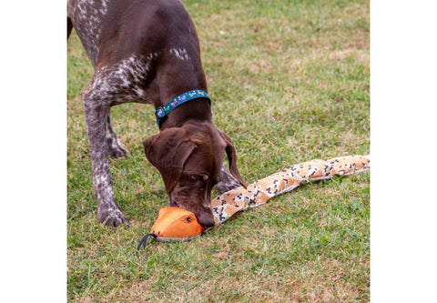 Tough Super Snake Dog Toy