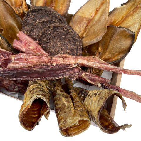 Three beef tracheas and two large tendons, tough natural chews to support dental health.
