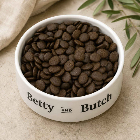 Betty & Butch 80/20 Premium Dry Dog Food served in a Betty & Butch dog bowl.