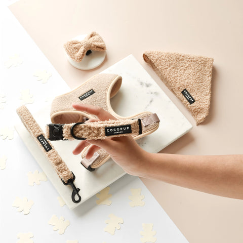 Cocopup pet accessories including a harness, leash, and bow-tie  on a light background.