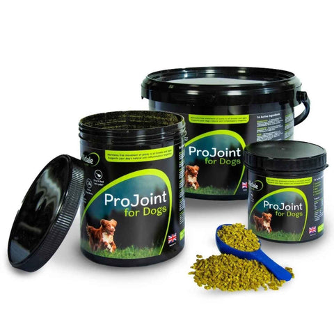 ProJoint for Dogs 2kg daily joint and mobility supplement with glucosamine, chondroitin, MSM and Omega 3 for dogs of all ages.
