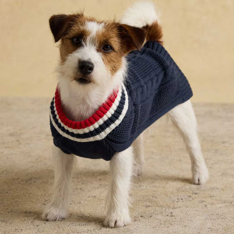 Joules Dawson Navy Blue Dog Knit Jumper