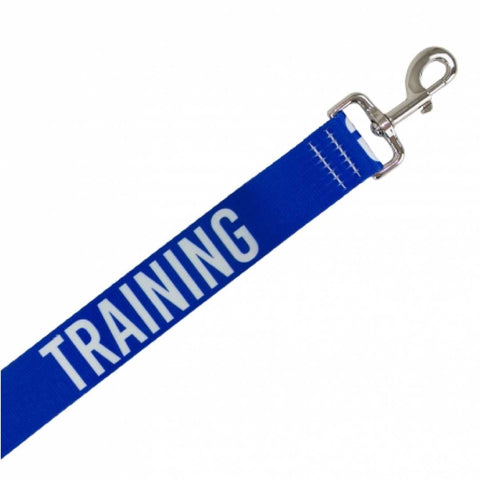 Eco-friendly Training dog lead with recycled webbing and D-ring