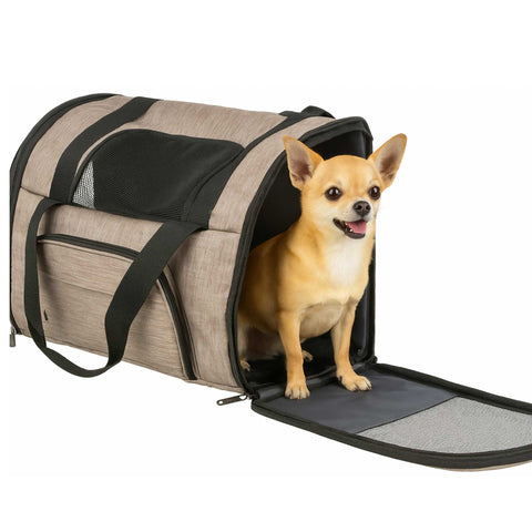 Pet carrier with a small dog inside on a white background
