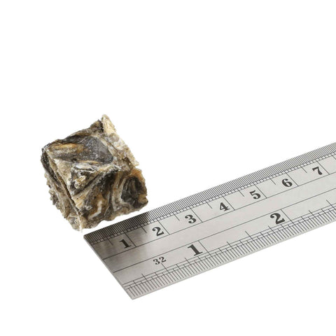 Fish4Dogs Sea Jerky Tiddlers for Dogs size guide with a ruler and a treat against a white background
