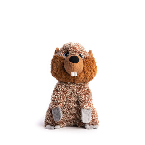 Plush dog toy beaver on a white background