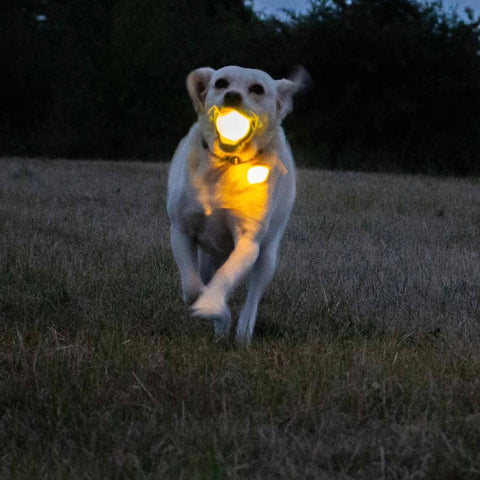 Rechargeable LED Ball - Yellow - Light Up Dog Ball 6.5cm