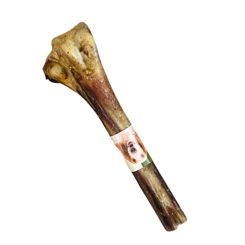Ostrich Bone Chew - Natural, Long-Lasting, Hypoallergenic