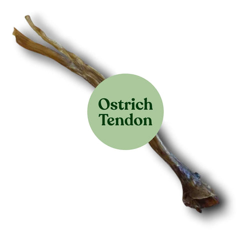 Premium Ostrich Tendons | 100% Natural Dental Dog Chew