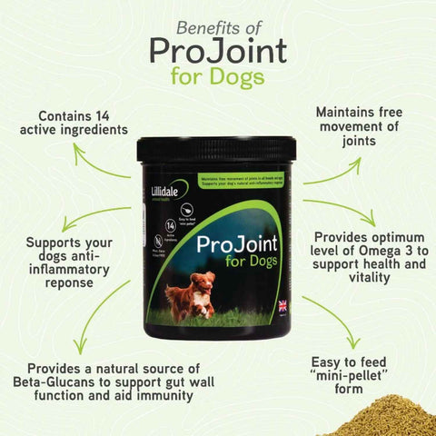 ProJoint for Dogs daily joint supplement supporting mobility, healthy joints, Omega 3 intake, gut health and everyday movement.