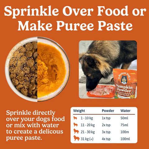 Pre & Probiotics For Dogs | Real Pumpkin Powder + Probiotic