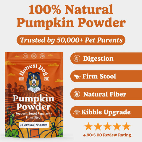 Pumpkin Powder For Dogs | Canned Pumpkin Purée Alternative