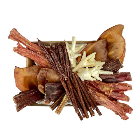 A neat aerial shot of the complete Puppy’s First Feast box, showcasing all-natural chews arranged for maximum appeal on a clean white background.