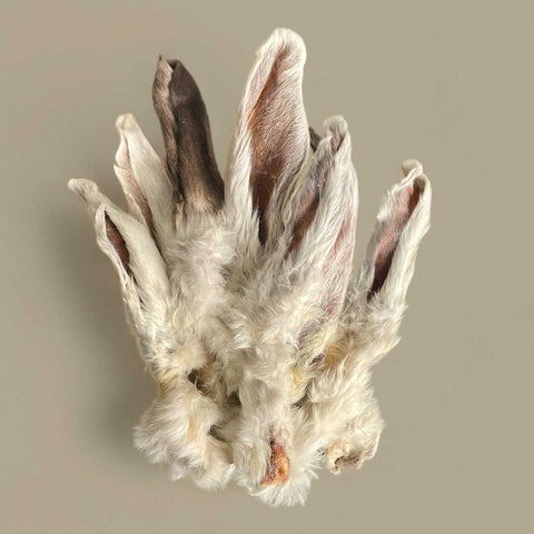 Natural Rabbit Ears with Fur Dog Chew – Single-Ingredient Treat, Supports Digestion & Dental Health