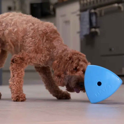 Roolo Treat Dispensing Toy | Enrichment Puzzle Feeder