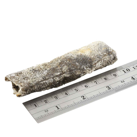 fish4dogs jerky size against a ruler