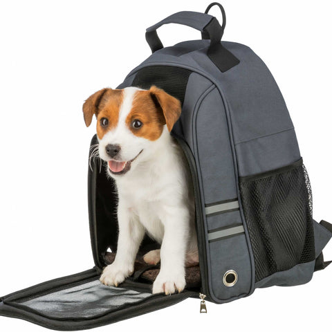 Gray pet backpack with a small dog inside on a white background