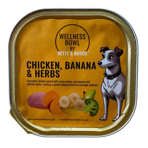 Wellness Bowl by Betty & Butch dog food container with chicken, banana, and herbs on a yellow background