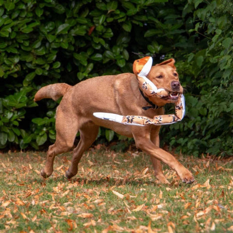 Tough Super Snake Dog Toy