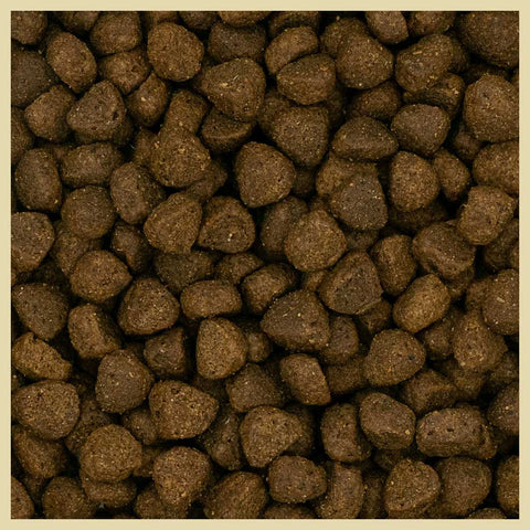 Betty & Butch Superfood Small Breed Dog Food - Angus Beef With Vegetables