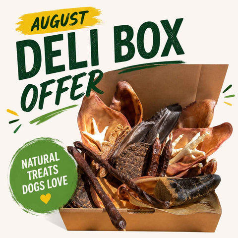 August Deli Box | Limited Edition Natural Treat Drop