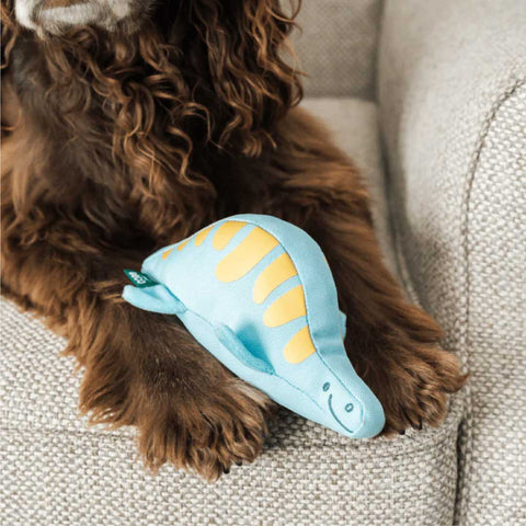 Plesiosaur Baby Dinosaur Dog Toy