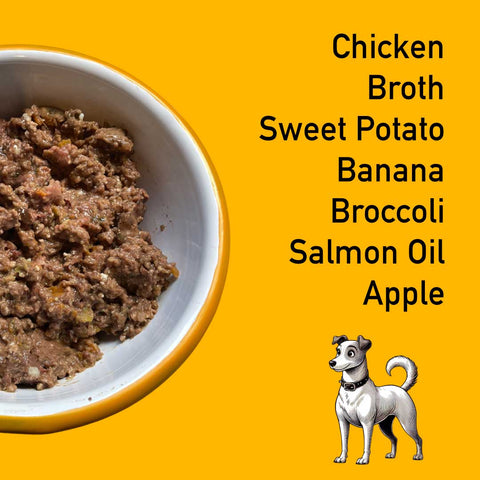 Bowl of dog food with ingredients listed on a yellow background