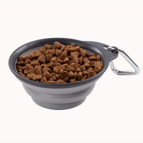 Dexas Collapsible Travel Cup Pro Grey