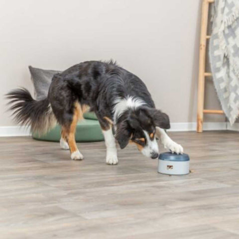 Buzzer Dog Treat Dispenser Toy