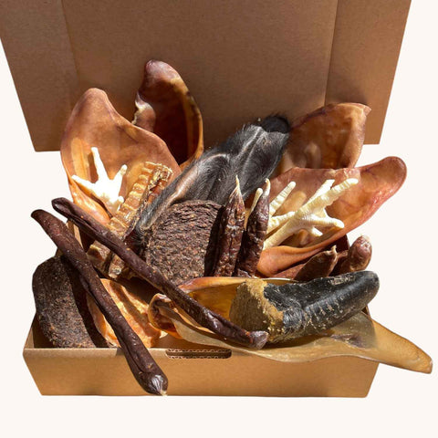 Assorted pet treats including bones and sticks in a cardboard box on a white background