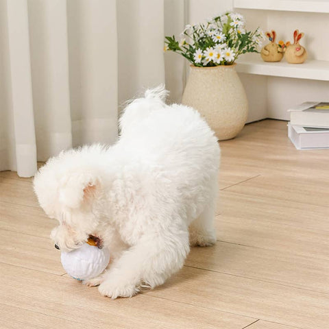 Easter Eggshell Surprise Ball – 2-in-1 Plush & Spiky Toy