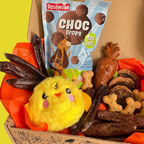 Easter Hamper Gift Box for Dogs – Limited Edition Spring Surprise