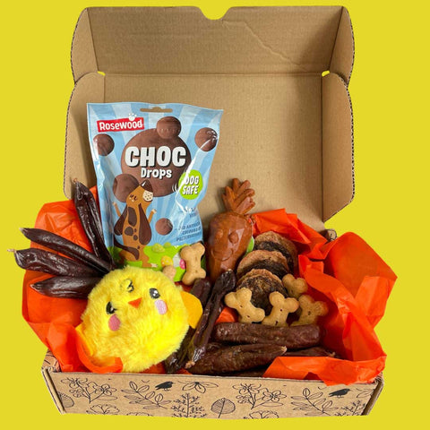 Easter Hamper Gift Box for Dogs – Limited Edition Spring Surprise