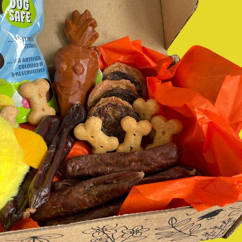 Easter Hamper Gift Box for Dogs – Limited Edition Spring Surprise
