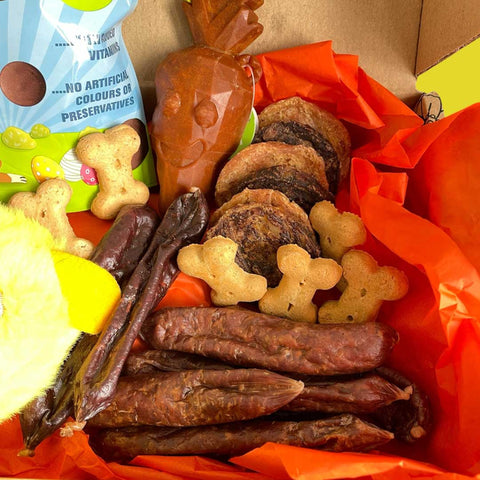 Easter Hamper Gift Box for Dogs – Limited Edition Spring Surprise