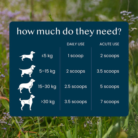 Fettle Calming Support Powder for Dogs