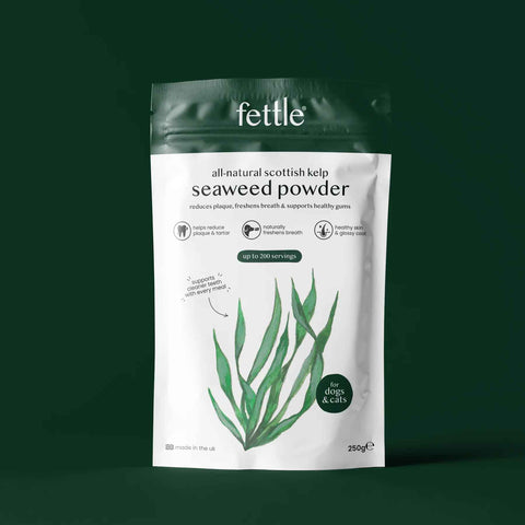 Fettle Kelp Seaweed Powder for Dogs and Cats
