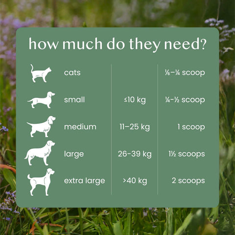 Fettle Pure & Natural Nettle Powder For Dogs and Cats