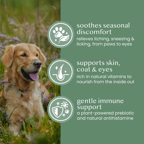 Fettle Pure & Natural Nettle Powder For Dogs and Cats