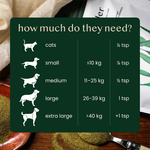 Fettle Kelp Seaweed Powder for Dogs and Cats