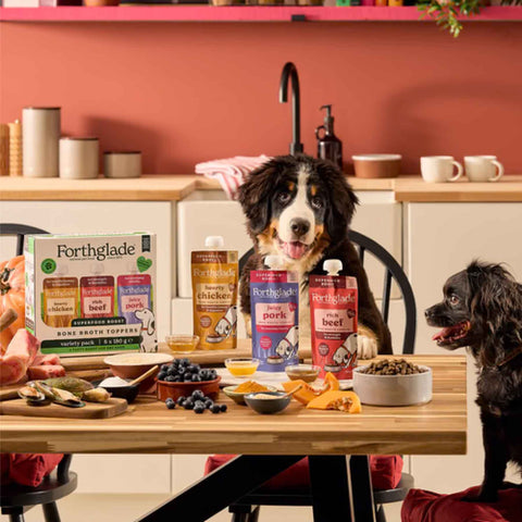 Rich Beef Bone Broth Topper for Dogs | Forthglade