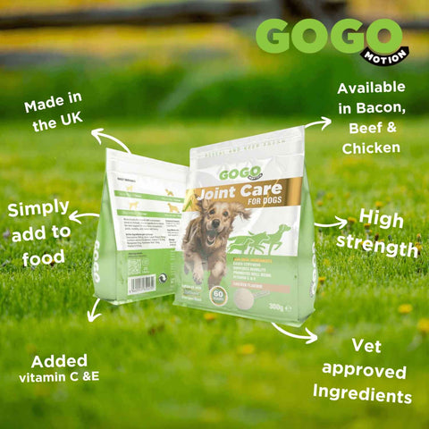GOGO Joint Care Powder For Dogs