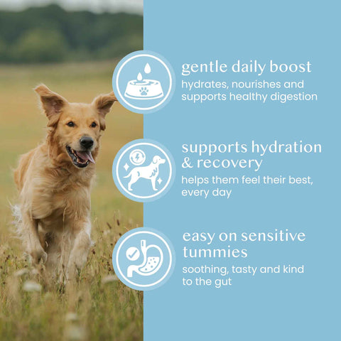 Fettle Whole Goat’s Milk Powder for Dogs and Cats