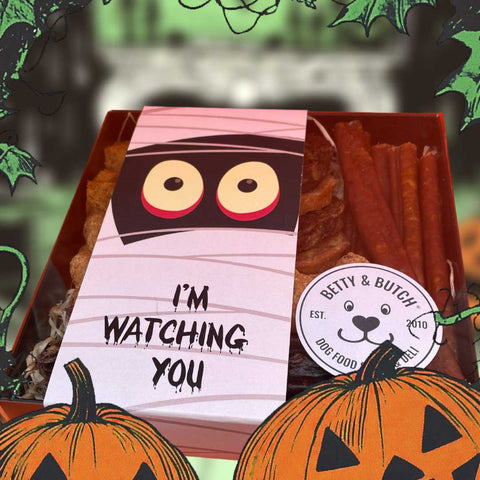 Howl-O-Ween Trick Or Treat Box For Dogs