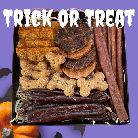 Howl-O-Ween Trick Or Treat Box For Dogs